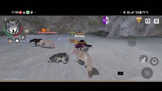 Wolf online 2 Hack, Game Guardian, game, kill wolfs. 