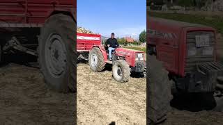 Atom Karınca Mey Ferguson 3060