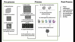 Single-Particle cryo-EM Image Processing using cryoSPARC– Dongyan Tan at the 6th LBMS Cryo-EM Course