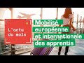 Apprentissage et formation professionnelle  mobilit europenne des apprentis   fvrier  2024