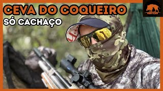 Ceva do Coqueiro , só deu CACHAÇO 