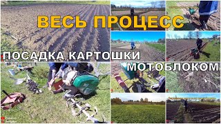 видео: Посадка картофеля мотоблоком! Весь процесс: культивация, нарезка борозд, закапывание картошки/2021 г картинка: Посадка картофеля мотоблоком! Весь процесс: культивация, нарезка борозд, закапывание картошки/2021 г