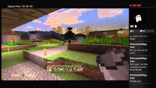 Minecraft insanity part 4