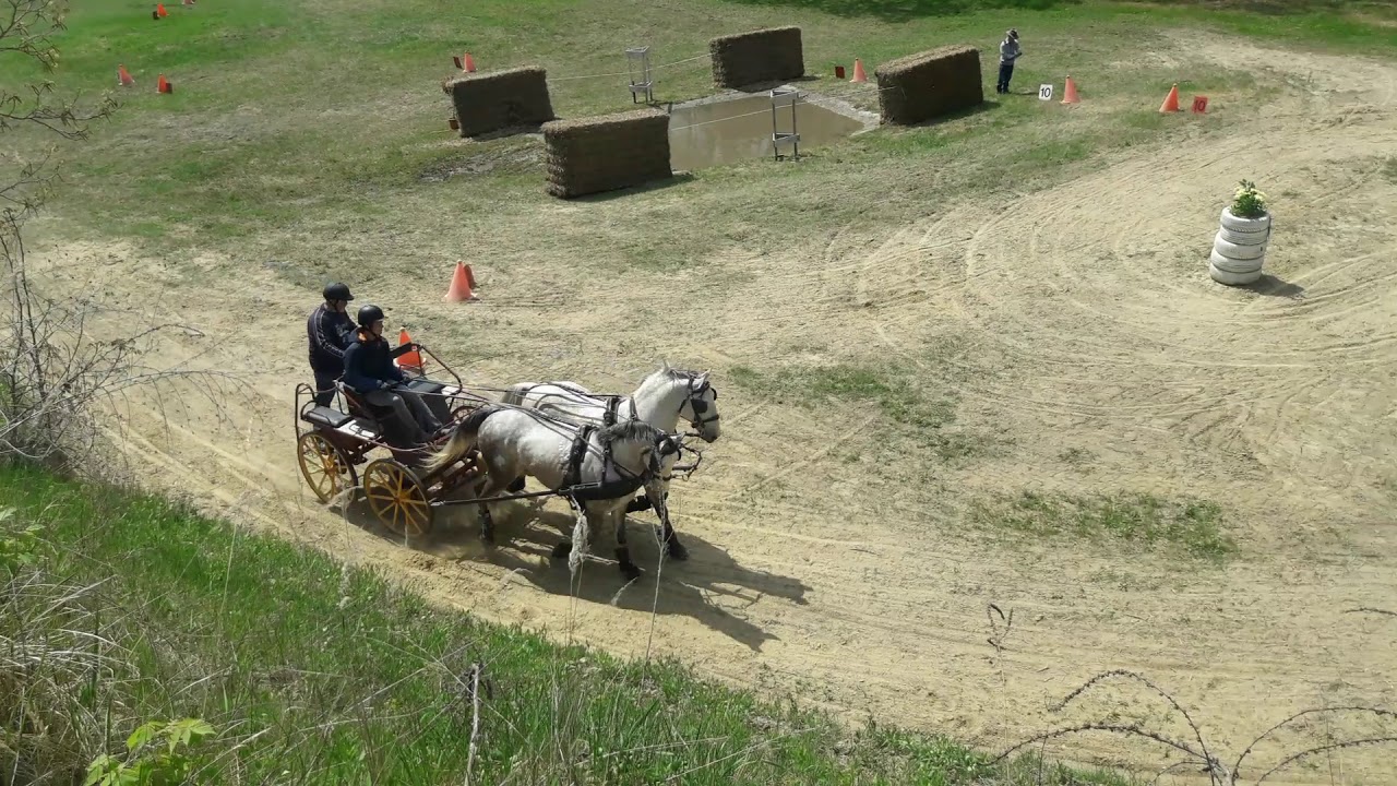 Marcali fogathajtó derby 2019.05.01.