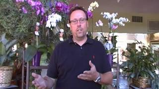 Thank you from Eric Luoma, Cactus Flower president
