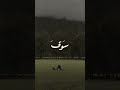 القَࢪأن الڪَرݛيم🍓.@zozo-s3 @e.5t_08 @8___vv.o وليلو.. اجَݛݛ لي ولَهم 🫂🤲🏿 اكسبلور#لايك#متابعة