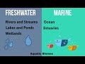 Aquatic Biomes