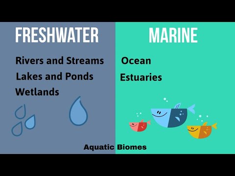 Video: Hvad er de vigtigste akvatiske biomer på jorden?