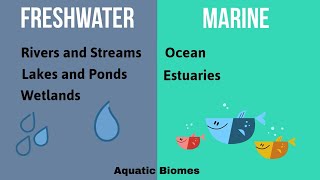 Aquatic Biomes