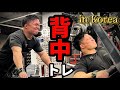 いつもの背中トレ。