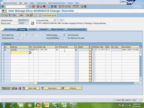 VL02N GI PO STO FROM SAP #SAP - YouTube