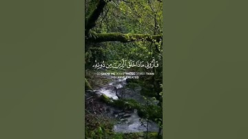 هَـٰذَا خَلْقُ اللَّهِ❤️💕 #quran #قران_كريم #ياسر_الدوسري #قرآن #تلاوة_خاشعة #اكسبلور #قرآن_الصباح