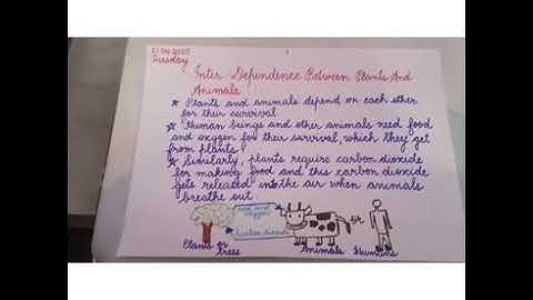 Class 4 || Science || Inter-Dependence Between Plants And Animals