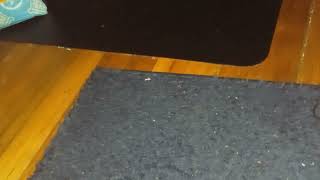 Satin Chenille 2018 Sat Down Lay Down Her Marcus Mize Karen Pkwy Bed Take Them 2025