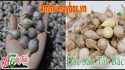 Tỏi cô đơn Phù Yên – Sơn La có thể làm được món gì?