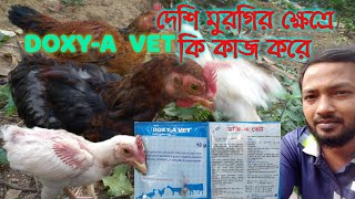 Doxy A Vet.দশ মরগর কষতর ক কজ কর
