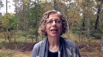 Message from UNEP Executive Director: Nagoya Protocol 10th anniversary