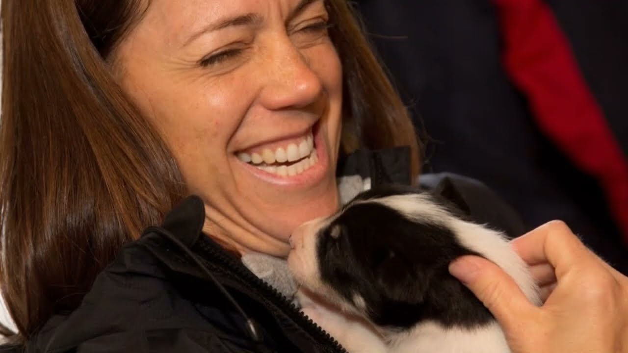 The Mushers camp, Alaska. - TravelMovies