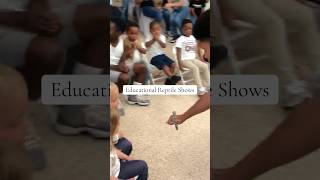 Educational Reptile Shows #dmv #education