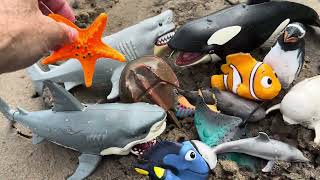 Showing Sea Animal Toys near a River