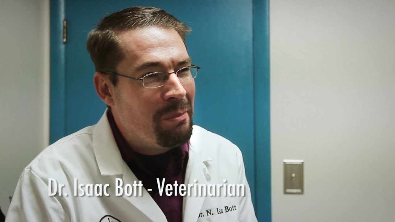 K9SPOTlight - Veterinarian Dr. Isaac Bott, Mountain West Animal ...