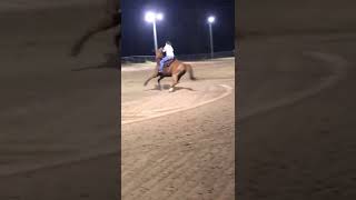 Kt N Wild Willy Phc 318