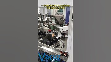 Vacuz Five Stations Armature Rotor Automatic BLDC Motor Coil Dynamic Balancing Machine Manufacturer