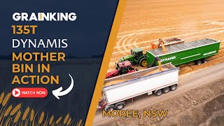 2025 Harvest: 135T Dynamis Moree, NSW