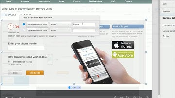 iRise Editor Tutorial: Using Conditions, Variables and Form Elements to Control Views