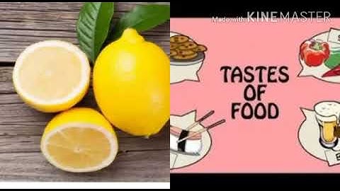 MLZS JHANSI CLASS 5 EVS Chapter 16 How we taste and Digest Lecture 1