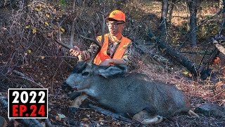 OPENING DAY TIMBER BUCK - Washington Mule Deer Hunt | 2022 Hunting Season EP.24 screenshot 3