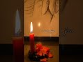 استوريات واتساب هاني شاكر جرحي أنا