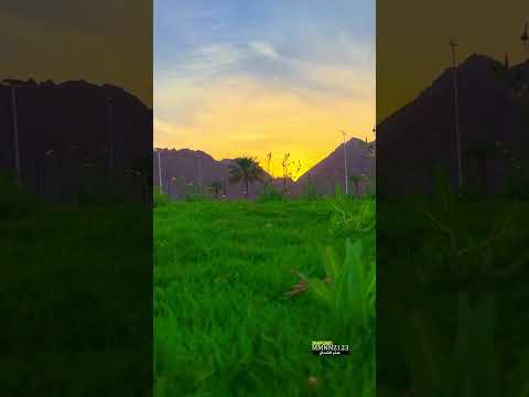 صباح الخيرات والبركات