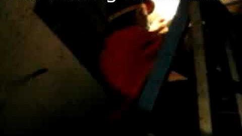 Swiftlet House Adventure