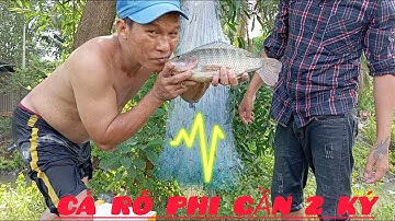 Một Ngày Giăng Lưới Trúng Đậm Của 2 Anh Em Dính Cá Rô Phi Siêu To Cùng Nhiều Loại Cá Khác Ngon Quá