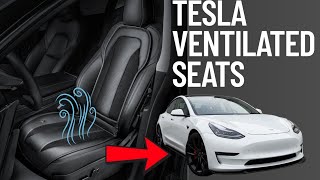 ❄️ GAME CHANGER! Ventilated Seats in My Tesla Model 3! (Ultimate Comfort Upgrade!) 🔥