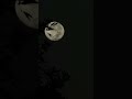 Moon 🌕 #moon #photos #music