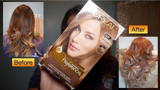 L'Oreal Paris Superior Preference UL61 Ultra Light Ash Brown