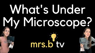 What's Under My Microscope? 🔬👀🤯