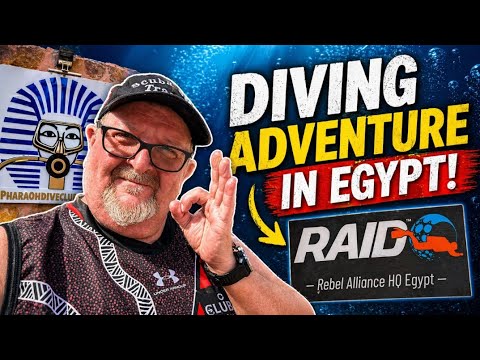 Pharaoh Dive Club at Roots Red Sea 🇪🇬 | Unlimited House Reef Diving in Egypt!