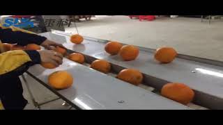 Full automatic orange packing machine