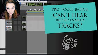 Pro Tools Basics: Mute Record-Armed Tracks while Stopped Setting