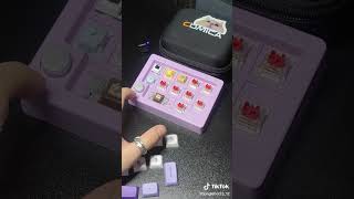 Soundtest Ammtoo Macropad K808 (w/o keycap) #macropad #banphimco #akko #leoborg #comica @COMICA.global