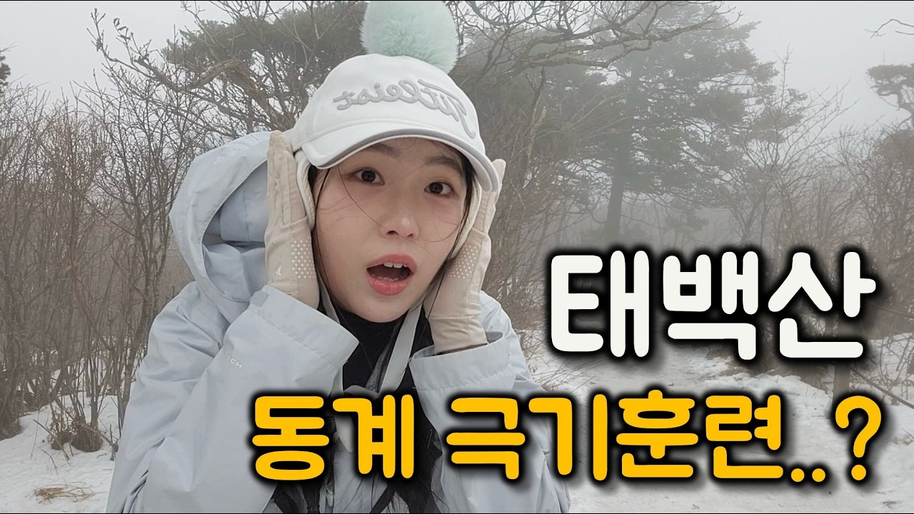 태백산 유일사 코스, 악천후에도 오른 이유?