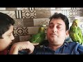amazon#talkingparot #birds #cute #pets#parrot#subscribe #shorts #short #shortvideo#funny #viral#uyku
