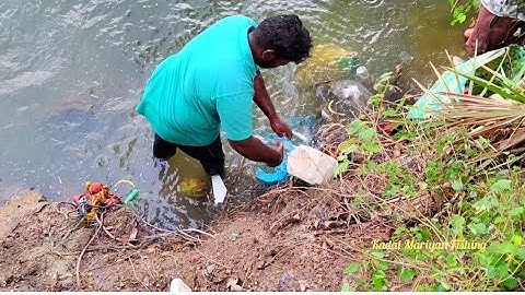 Easy Diy Bottle Trap for Catching Big fish Catch Mullet fish With Simple Traps #maidaflour
