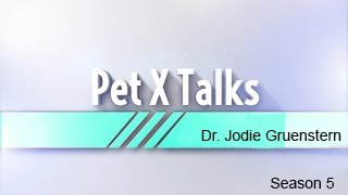 Dr. Jodie Gruenstern - Pet X Talk - The Pet Nutritional Ladder - Healthy Nutrition For Pets
