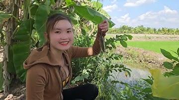 Phơi Nắng Săn Cá Kinh Bộ Ngọ Câu Cá Rô Đồng Mồi Này Bao Nhạy | Trúc Phương Vlog