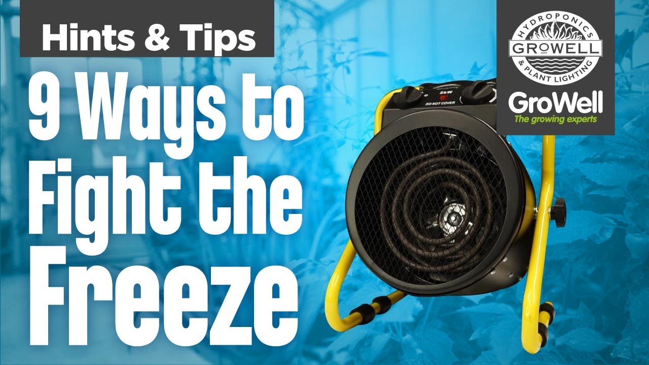 9 Ways To Fight The Freeze | Growing In Winter | Hints \U0026 Tips