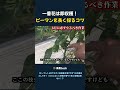 一番花は即収穫! ピーマンを長く採るコツ